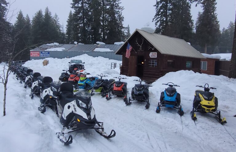 Snowmobiles 768x494