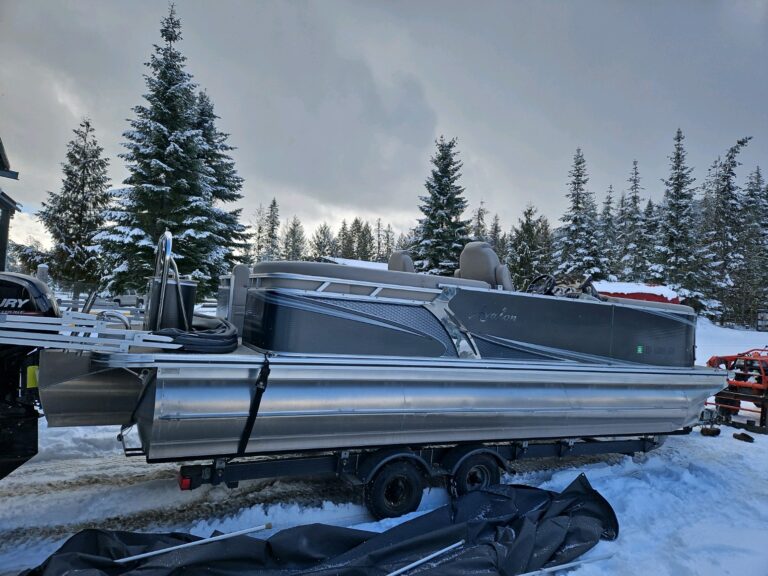 avalon pontoon boat 12 passenger 768x576